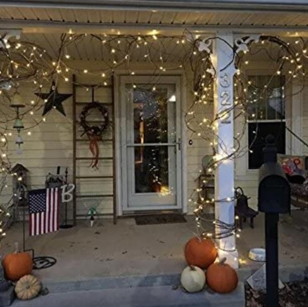 Zoic 500 LED String Lights